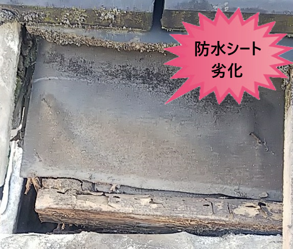 防水シート　野地板　劣化